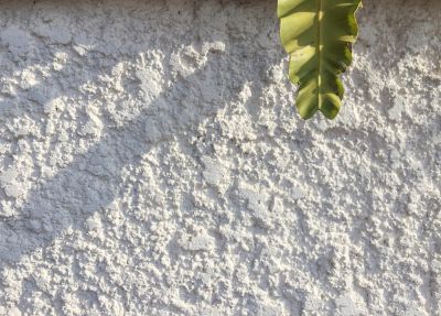 Keep Out Water and Pests By Repairing Cracks or Other Damage